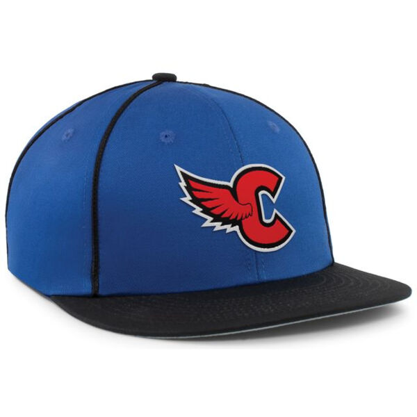 Momentum Team Cap Thumbnail