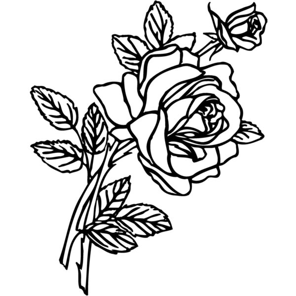 FLOWER27 Thumbnail