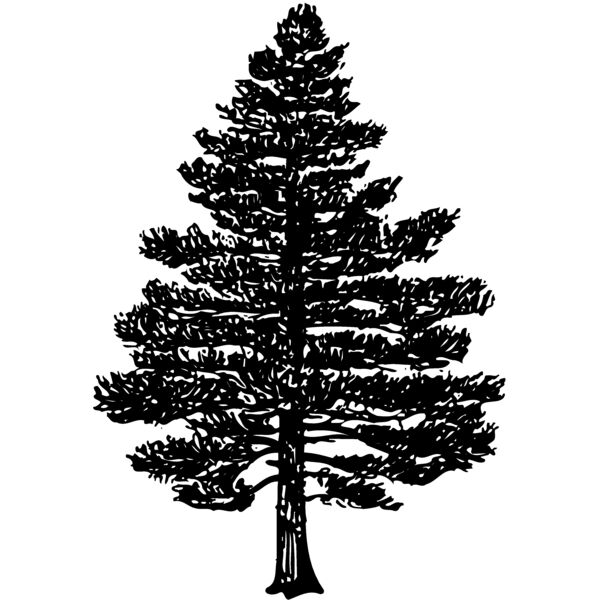 TREE0003 Thumbnail
