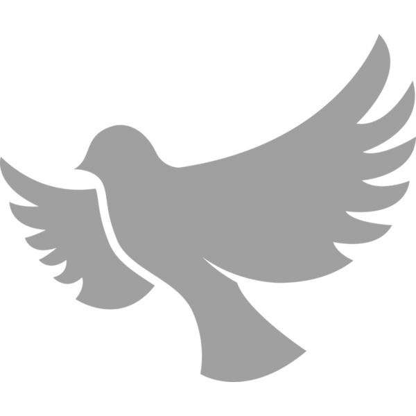 Dove Thumbnail