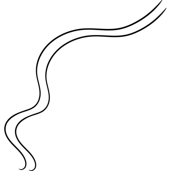 Abstract Curved Line Thumbnail