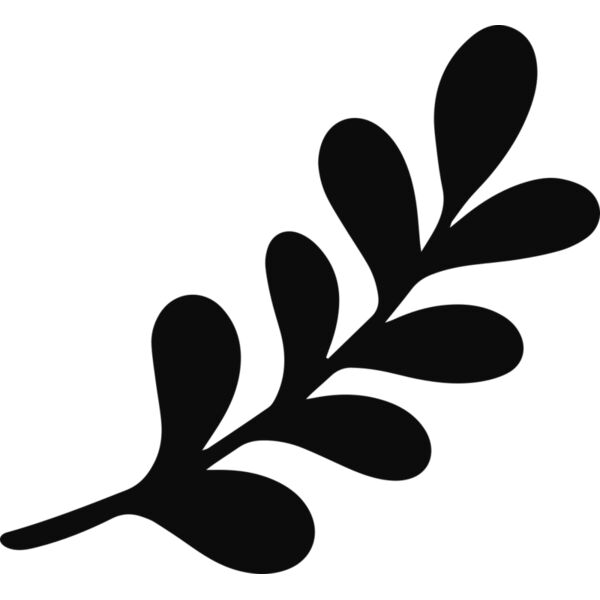 Leaf Stem Branch Thumbnail