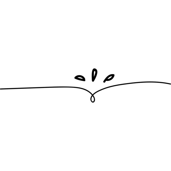 Minimal Elegant Divider Thumbnail